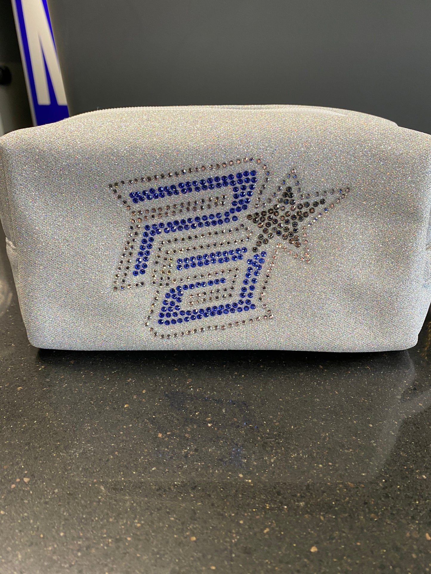 Opalescent Makeup Bag